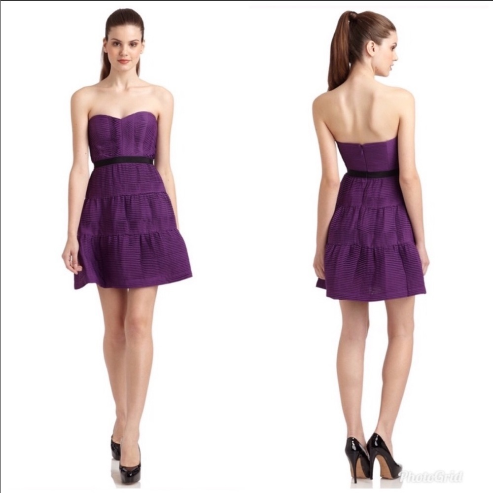 BCBGMAXAZRIA- Grape Pleated Chiffon Dress 10 NWT